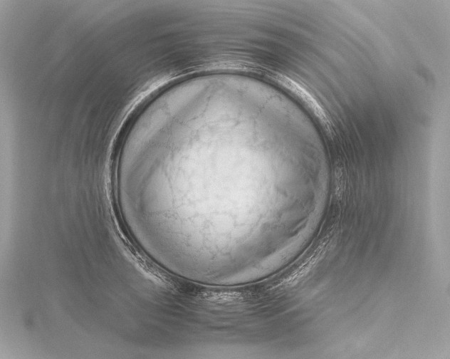 X0000115801043200912041529