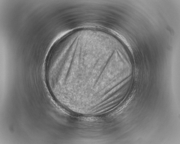 X0000115801045200912041529