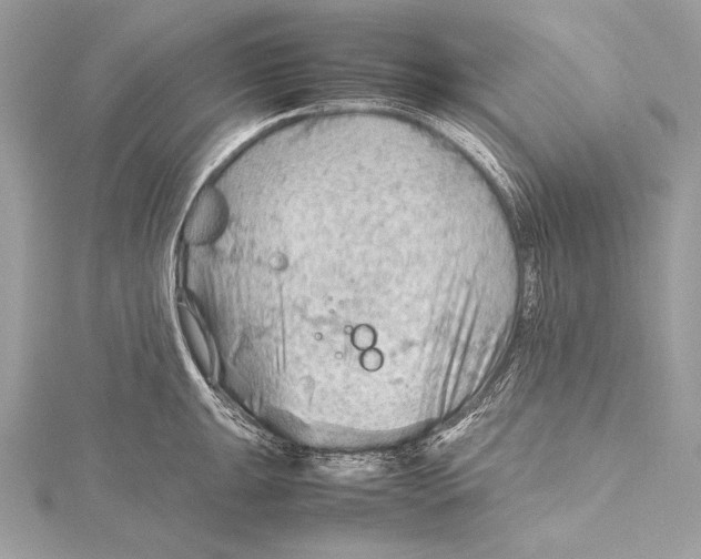 X0000115801047200912041529