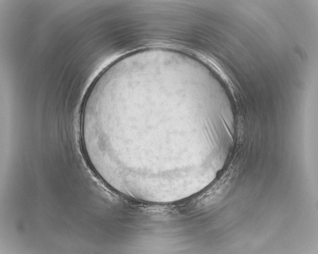 X0000115801048200912041529