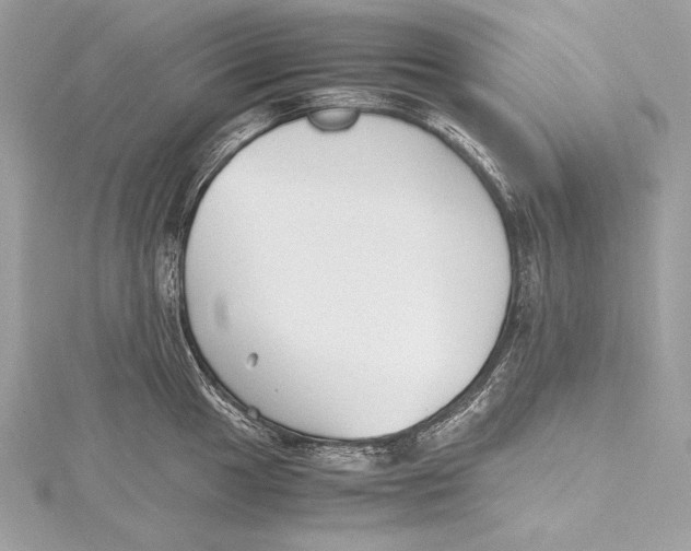 X0000115801049200912041529