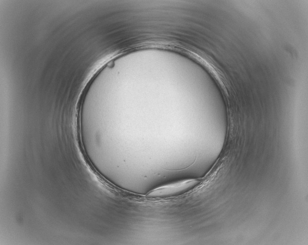 X0000115801050200912041529