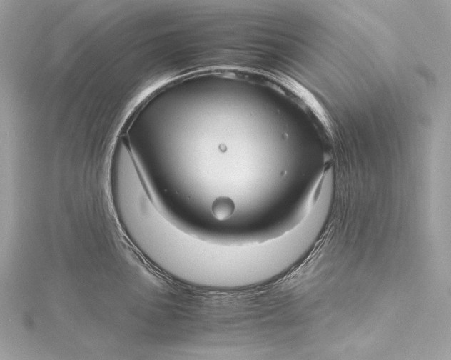 X0000115801051200912041529