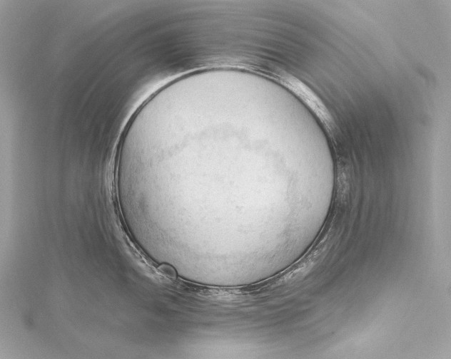 X0000115801052200912041529