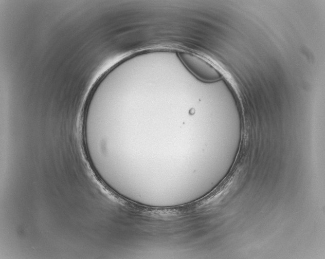 X0000115801053200912041529