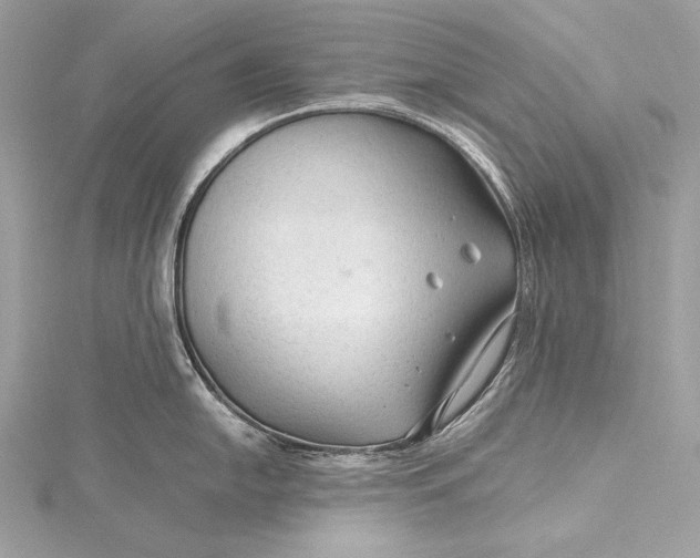 X0000115801054200912041529