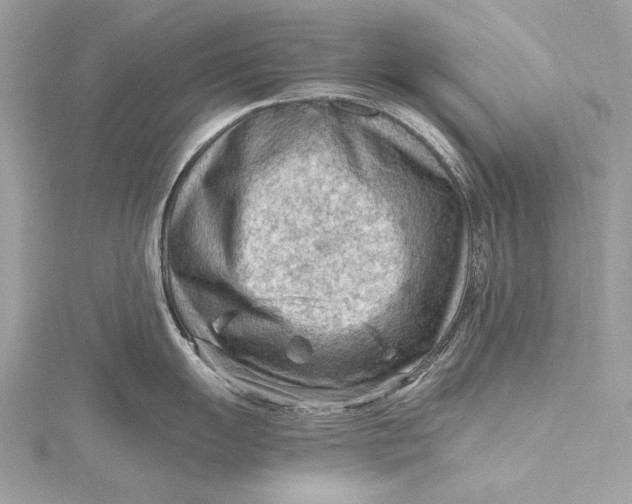 X0000115801055200912041529