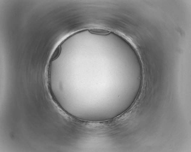 X0000115801056200912041529