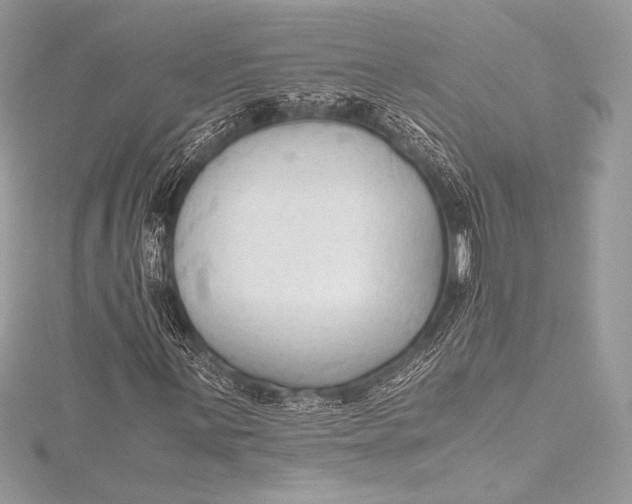 X0000115801059200912041529