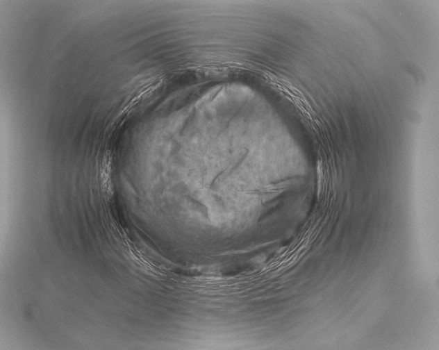 X0000115801060200912041529