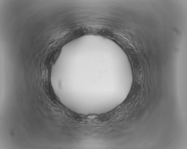 X0000115801061200912041529