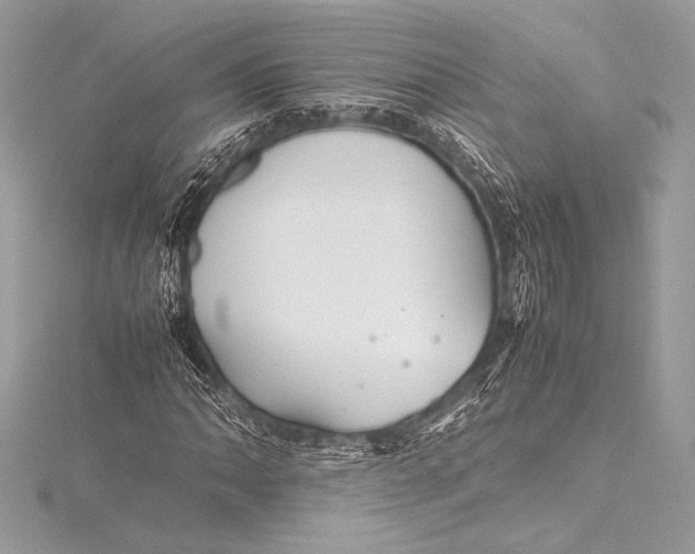 X0000115801062200912041529