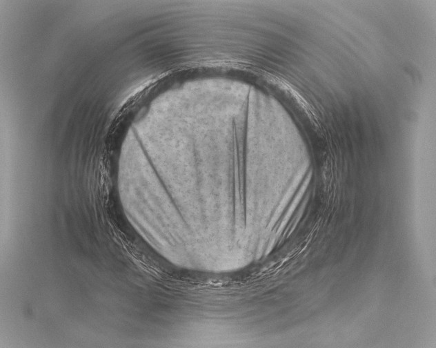 X0000115801064200912041529