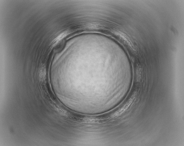 X0000115801065200912041529