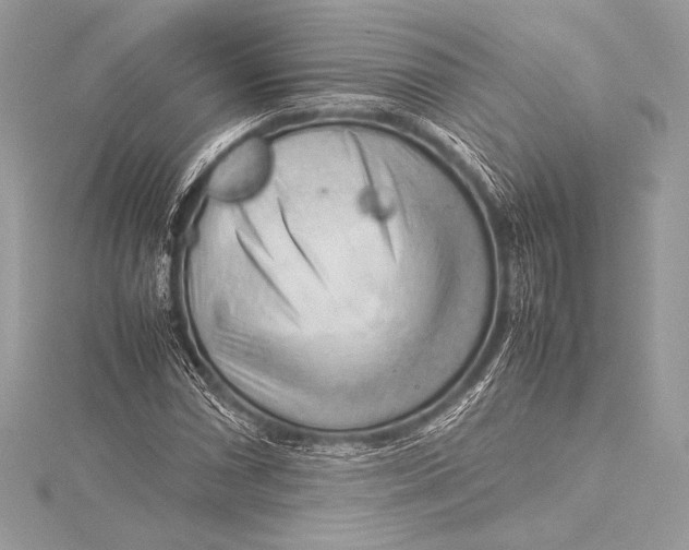 X0000115801066200912041529