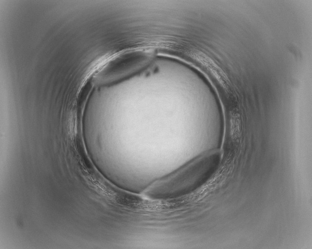 X0000115801069200912041529