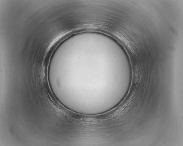 X0000115801070200912041529