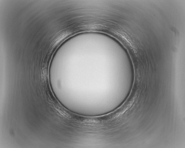 X0000115801073200912041529