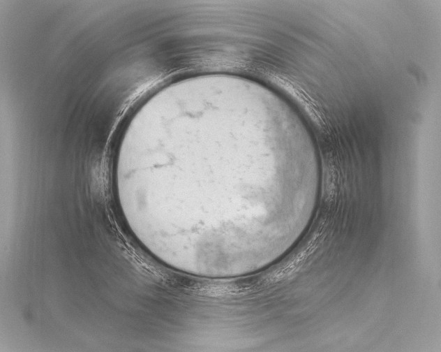 X0000115801074200912041529