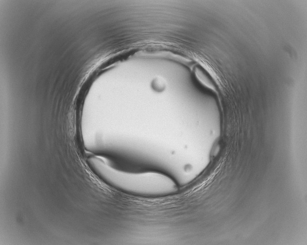 X0000115801075200912041529