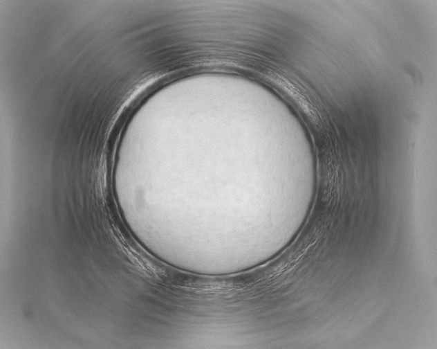 X0000115801076200912041529