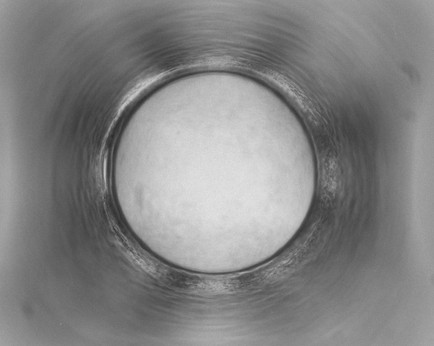 X0000115801078200912041529