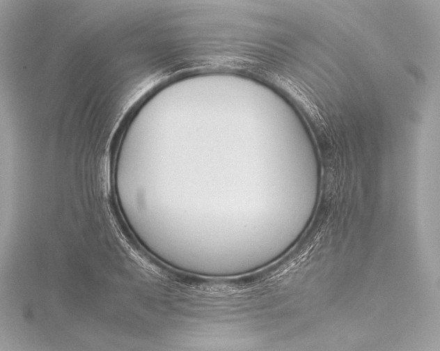 X0000115801079200912041529