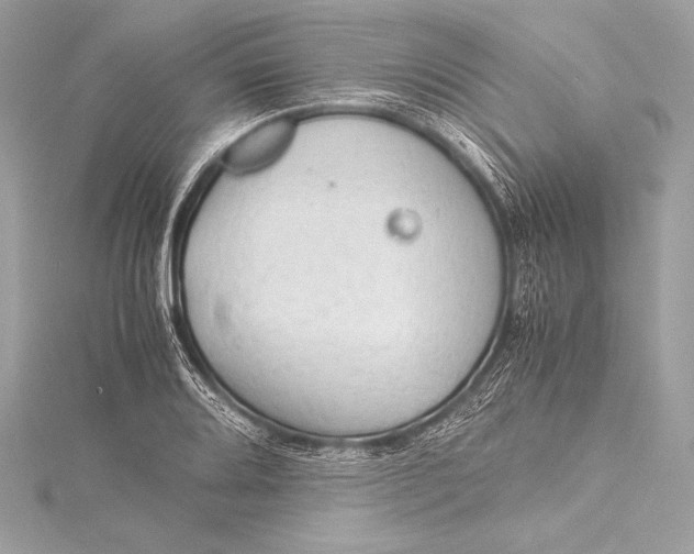 X0000115801080200912041529