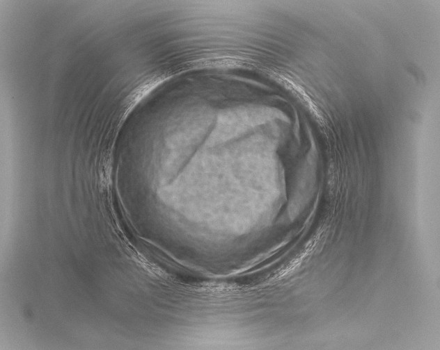 X0000115801081200912041529