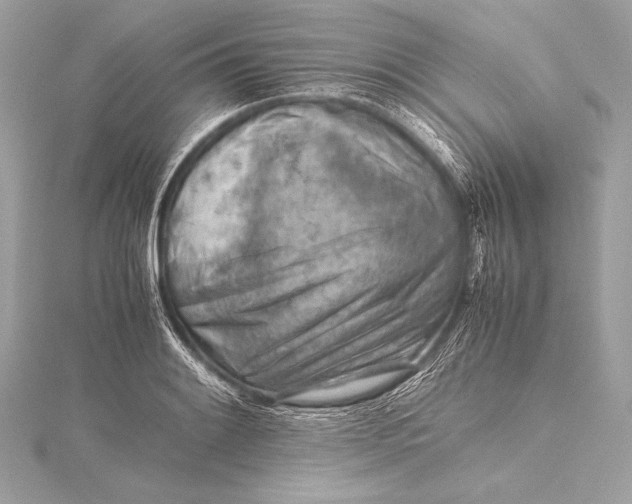 X0000115801084200912041529