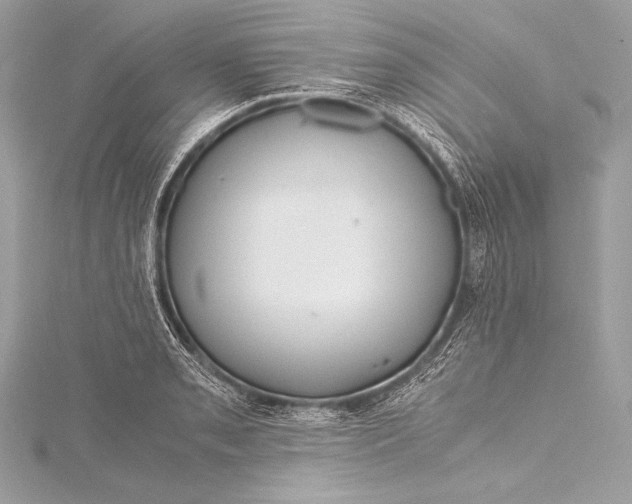 X0000115801085200912041529