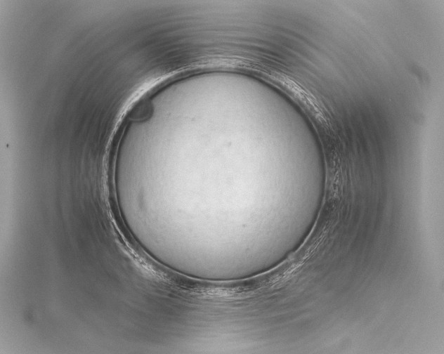 X0000115801086200912041528