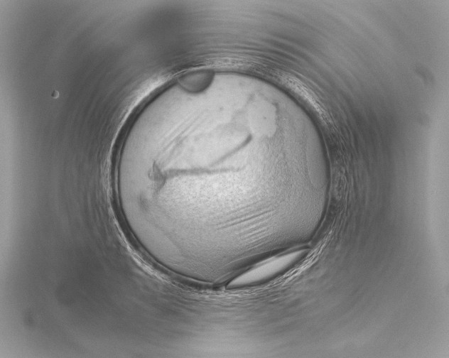 X0000115801087200912041528