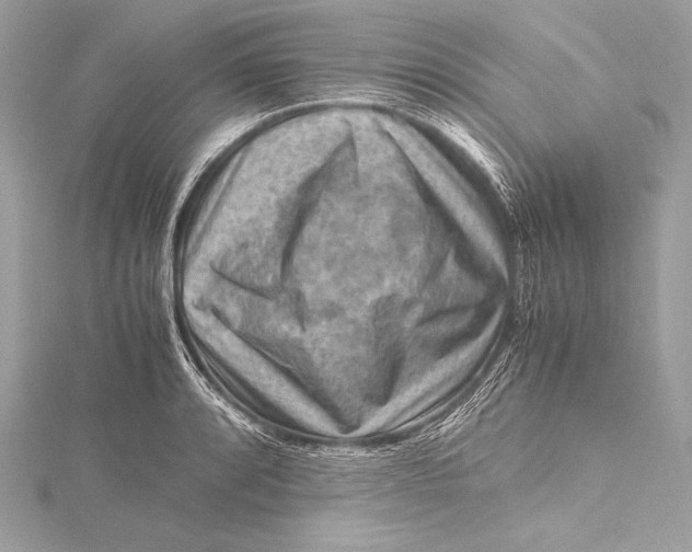 X0000115801088200912041528