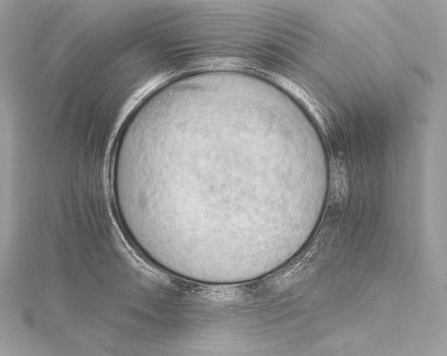 X0000115801090200912041528