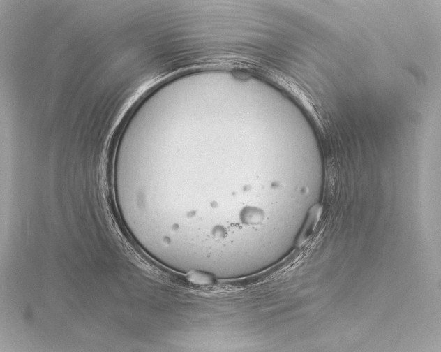 X0000115801091200912041528