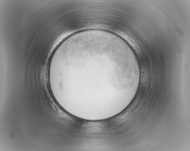 X0000115801094200912041528