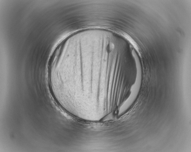 X0000115801096200912041528