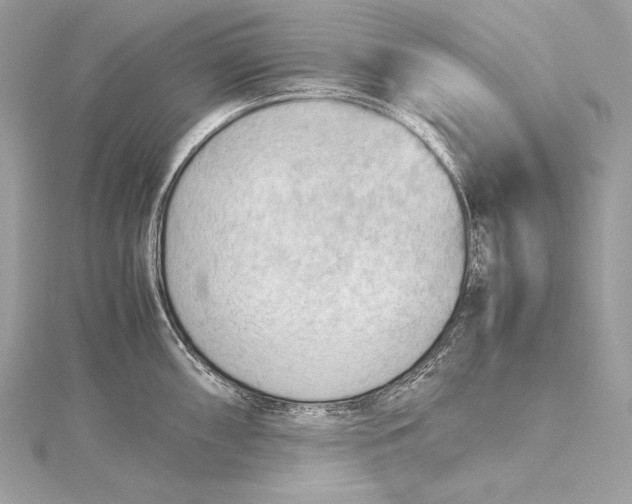 X0000115801098200912041528