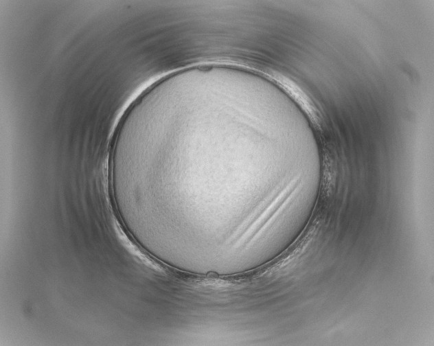 X0000115801100200912041528