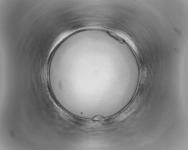 X0000115801101200912041528