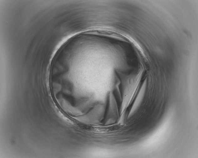 X0000115801102200912041528