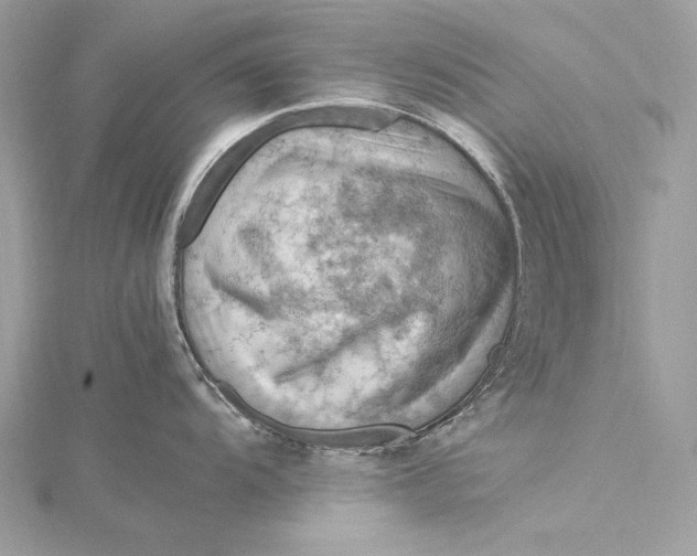 X0000115801104200912041528