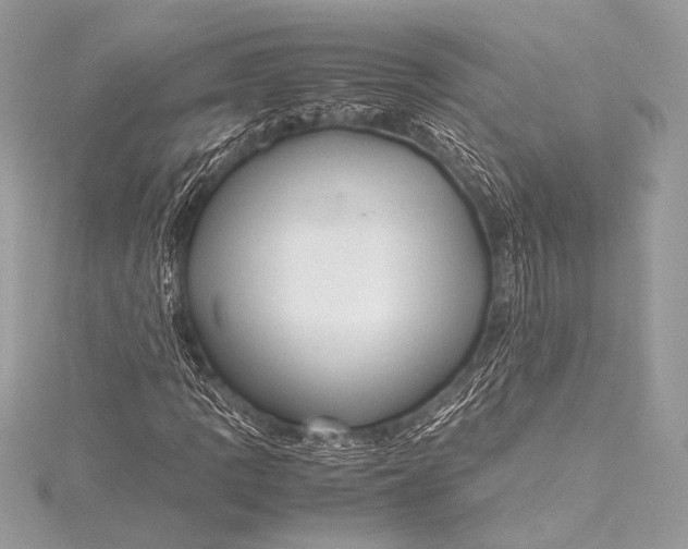 X0000115801109200912041528