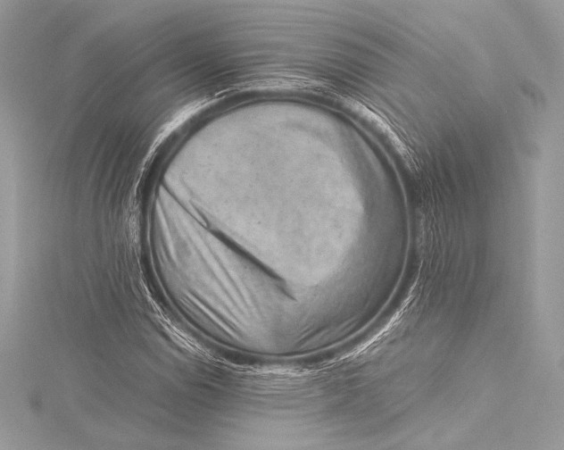 X0000115801114200912041528