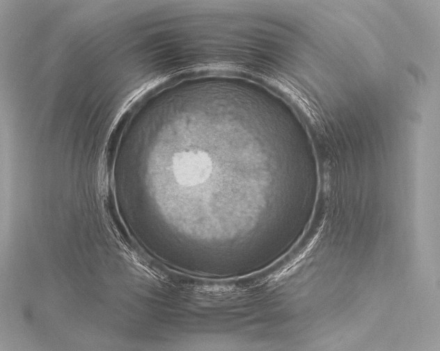 X0000115801117200912041528