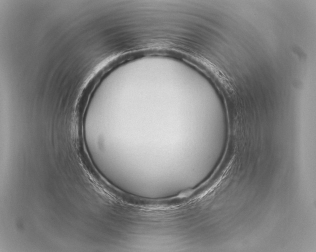 X0000115801118200912041528