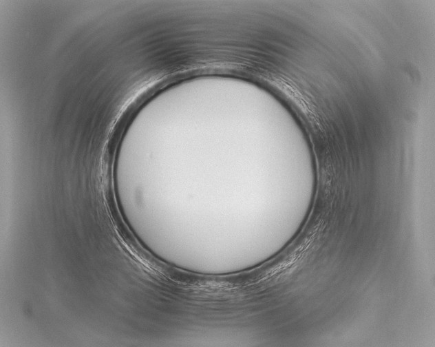 X0000115801119200912041528