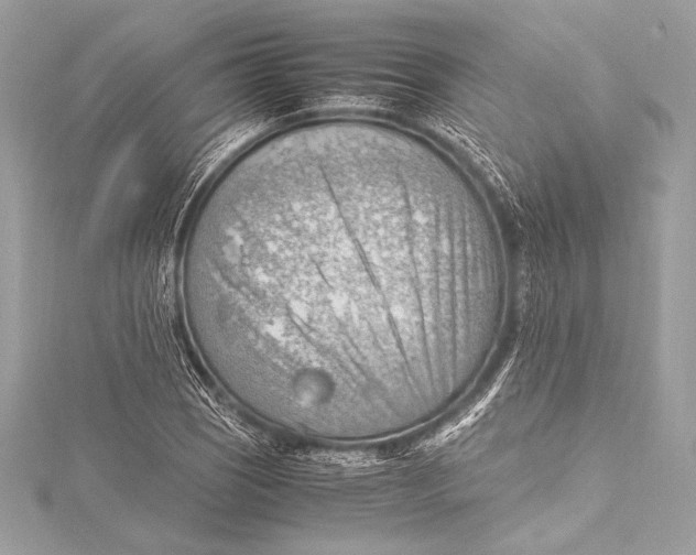 X0000115801121200912041528