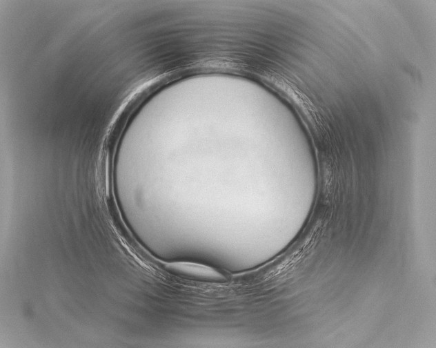 X0000115801123200912041528